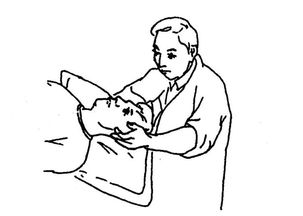 <a href='http://www.gfshzx.com/sjsr/' target='_blank' title='˥'><span style='color: #0000ff'><strong>˥</strong></span></a>ıF